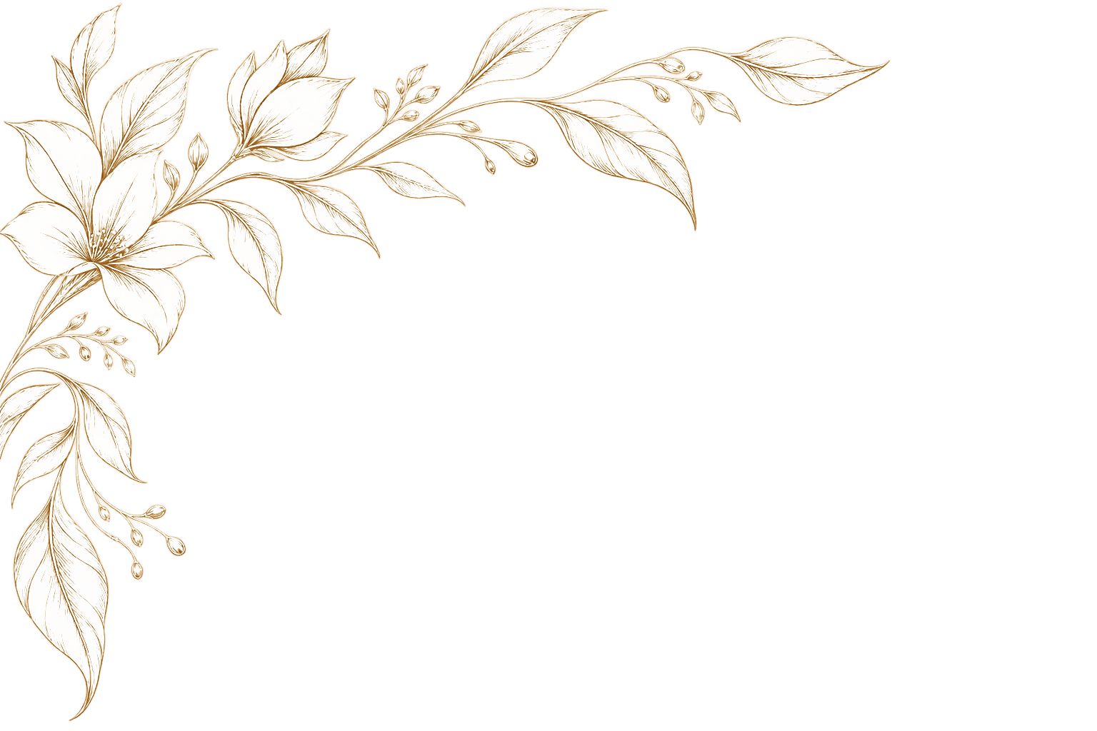 Decorative background top left